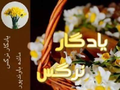 دانلود رمان یادگار نرگس