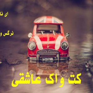 رمان کت واک عاشقی pdf