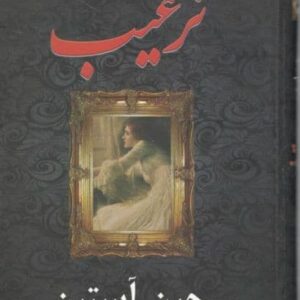 رمان ترغیب pdf