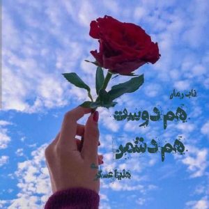 رمان هم دوست هم دشمن PDF