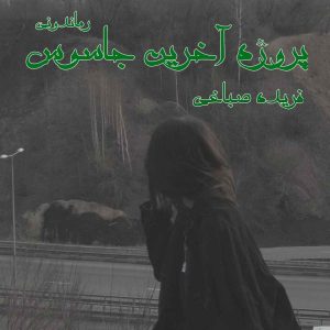 رمان پروژه اخرین جاسوس pdf