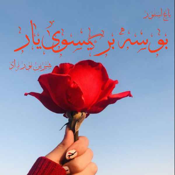 رمان بوسه بر گیسوی یار pdf