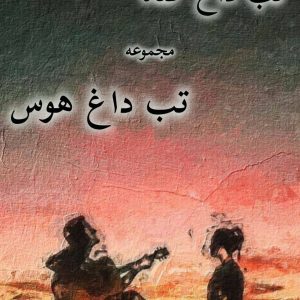 دانلود مجموعه 2 جلدی رمان تب داغ گناه pdf |اثر نیلوفر قائمی فر