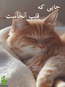 رمان جایی که قلب آنجاست pdf |اثر سورنا