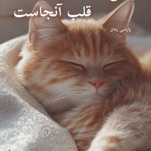 رمان جایی که قلب آنجاست pdf |اثر سورنا