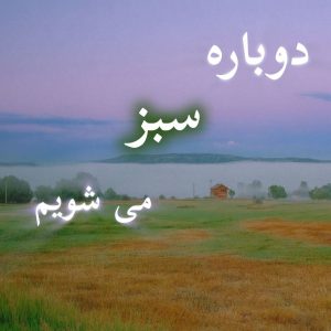 دانلود رمان دوباره سبز میشویم pdf |اثر زهرا ارجمندنیا