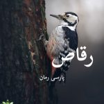 دانلود رمان رقاص pdf |اثر پریسا(طوفان خاموش)