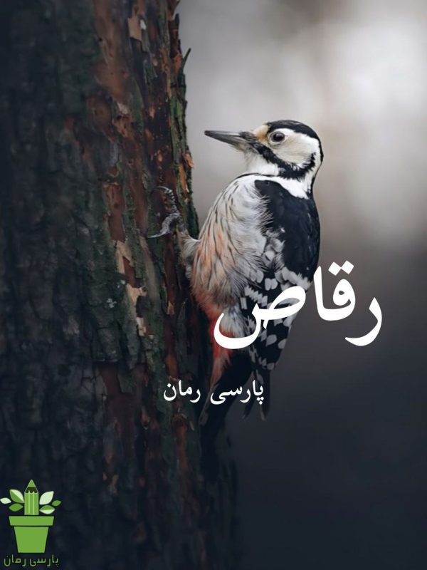 دانلود رمان رقاص pdf |اثر پریسا(طوفان خاموش)