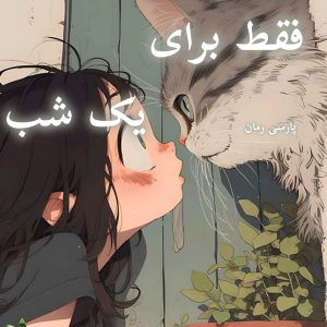 دانلود رمان فقط برای یک شب pdf |اثر بی پروای قصه گو